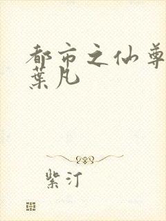 都市之仙尊归来叶凡封面