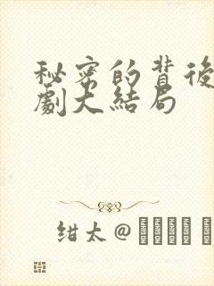 秘密的背后电视剧大结局封面