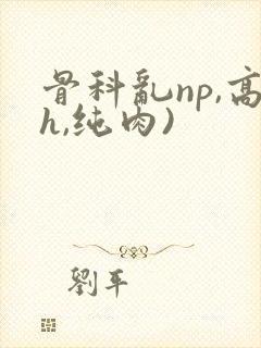 骨科乱np,高h,纯肉)