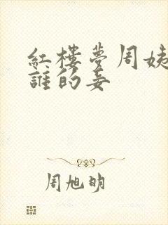 红楼梦周姨娘是谁的妾