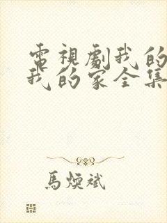 电视剧我的孩子我的家全集播放