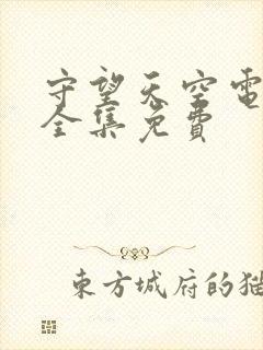 守望天空电视剧全集免费