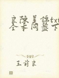 良陈美锦txt全本网盘下载