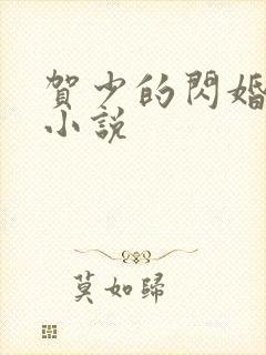 贺少的闪婚暖妻小说