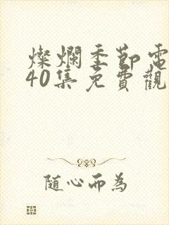 灿烂季节电视剧40集免费观看高清