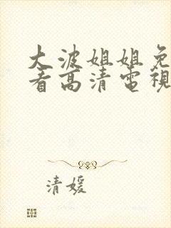 大波姐姐免费观看高清电视剧日剧封面