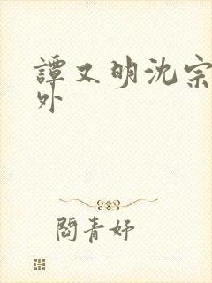 谭又明沈宗年番外