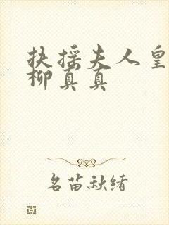 扶摇夫人皇上和柳真真封面