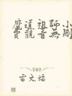 魔道祖师小说免费观看无删减版