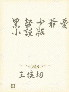 黑帮少爷爱上我小说版