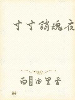 寸寸销魂夜春光封面