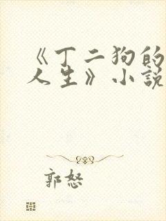 《丁二狗的逍遥人生》小说