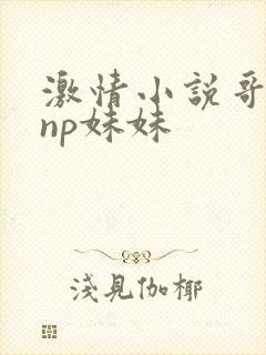 激情小说哥哥们np妹妹