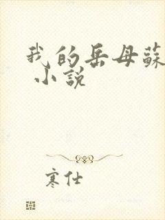 我的岳母苏沛真 小说
