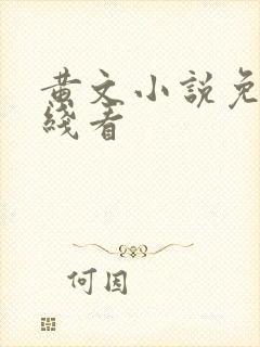 黄文小说免费在线看