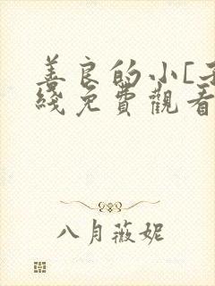 善良的小[子在线免费观看