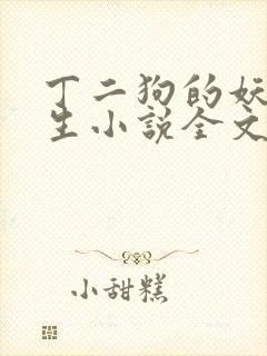 丁二狗的妖孽人生小说全文免费封面