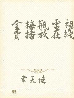 金梅瓶电视剧免费播放在线观看全集封面