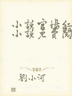 小说官场红颜的小说免费阅读