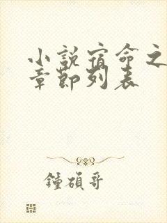 小说宿命之环新章节列表