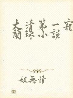 大清第一宠妃海兰珠小说