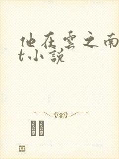 他在云之南txt小说