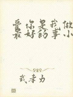 爱你是我做过的最好的事小说封面