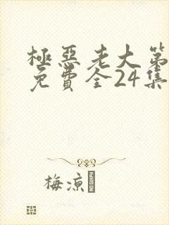 极恶老大第二季免费全24集封面