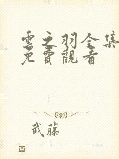 云之羽全集高清免费观看封面