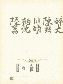 陆柏川陈醉许佳荔沈明熙大结局