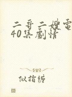 二哥二嫂电视剧40集剧情