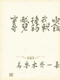 穿越后我吃到了哥儿的软饭炉山灰