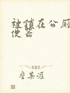 被锁在公厕当坐便器封面