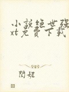 小说绝世强龙txt免费下载