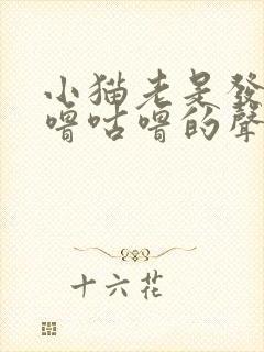 小猫老是发出咕噜咕噜的声音,怎么回事