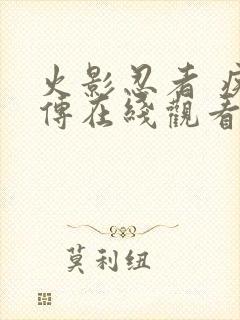 火影忍者 疾风传在线观看封面