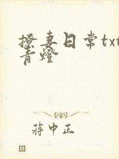 撩妻日常txt青灯封面