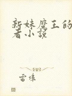 新妹魔王的契约者小说