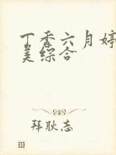 丁香六月婷婷欧美综合