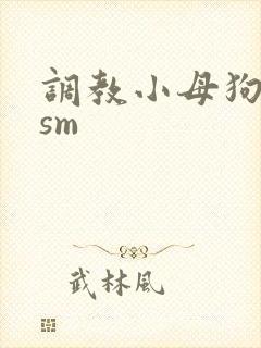 调教小母狗小说sm封面