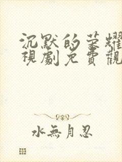 沉默的荣耀 电视剧免费观看全集