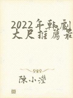 2022年韩剧大尺推荐最火电视剧