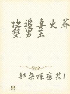 攻追妻火葬场的双男主