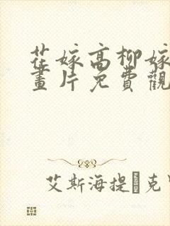 花嫁高柳嫁家动画片免费观看