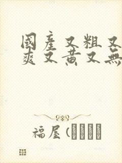 国产又粗又猛又爽又黄又无遮挡