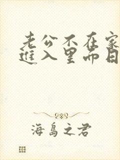 老公不在家,他进入里面日本电影