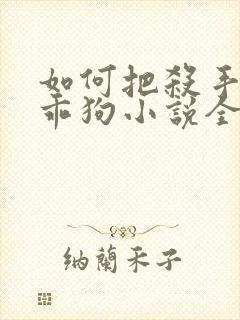 如何把杀手训成乖狗小说全文阅读