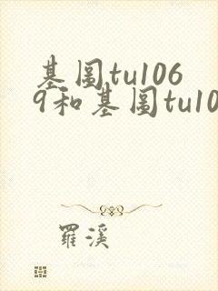 基图tu1069和基图tu1096的区别与联系