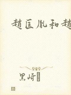 赵匡胤和赵匡义