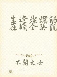 生逢灿烂的日子在线全集观看封面